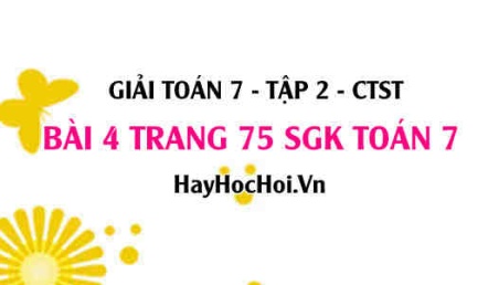 Giải bài 4 trang 75 Toán 7 tập 2 SGK Chân trời sáng tạo